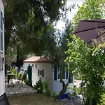 Casa vacanze Mobile In Near Pebble