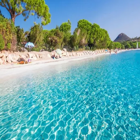 Mobile In Near Pebble 度假居 *