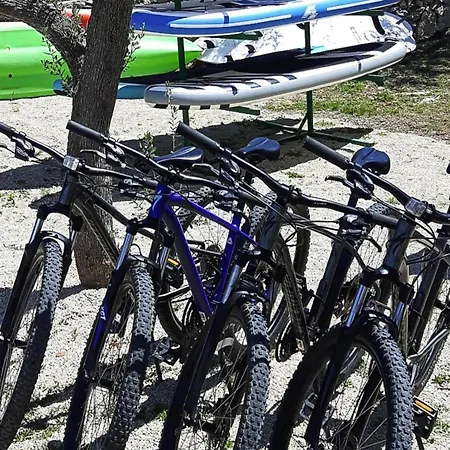 Mobile In Near Pebble קרס